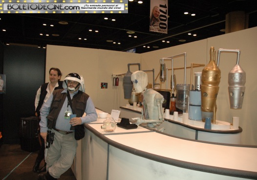 celebration VI pic 4
